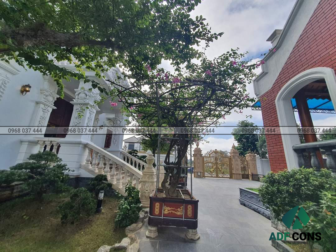 Ảnh chụp thực tế căn biệt thự nhà anh Phương - Thanh Hóa